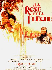 Télécharger La Rose et la Flèche