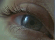<strong>Hannibal</strong> Teaser VO