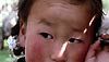 <strong>Le chien jaune de Mongolie</strong> Bande-annonce VO