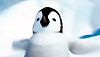 <strong>Happy Feet</strong> Bande-annonce (3) VO