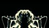 <strong>Across the Universe</strong> Bande-annonce VO