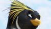 <strong>Les Rois de la glisse</strong> Teaser VF