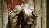 <strong>Black Sheep</strong> Extrait vidéo (2) VO