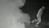 <strong>Les vacances de Monsieur Hulot</strong> Extrait vidéo (5) VF