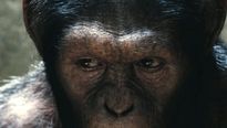 <strong>La Planète des singes : les origines</strong> Bande-annonce (2) VF