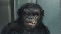 <strong>La Planète des singes : les origines</strong> Bande-annonce VO