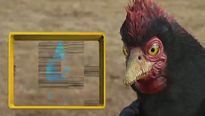 "Sur la terre des dinosaures" : Les oiseaux qui ont des dents