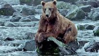 Terre des Ours - EXTRAIT VF "La pèche"