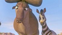 <strong>Khumba</strong> Bande-annonce (2) VF