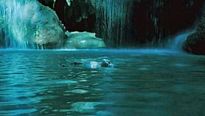 <strong>Oncle Boonmee (celui qui se souvient de ses vies antérieures)</strong> Bande-annonce VO