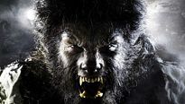 <strong>Top 5</strong> N°406 - Les loups-garous