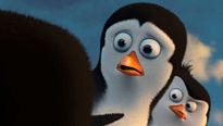 Les Pingouins de Madagascar - TEASER VF "À la rencontre de Kowalski"