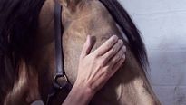 <strong>Le Caravage</strong> Bande-annonce VF