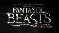 Les Animaux fantastiques : la vidéo qui annonce la bande-annonce