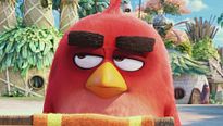Angry Birds - Le Film - EXTRAIT VF "Le passage piéton"