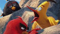 Angry Birds - Le Film - EXTRAIT VOST "Aigle Vaillant"