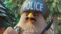 Angry Birds - Le Film - EXTRAIT VF "L'excès de vitesse"