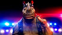 <strong>Top 5</strong> N°764 - Les rhinocéros