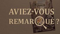 Aviez-vous remarqué ? Zootopie
