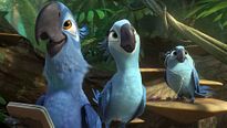 <strong>Rio 2</strong> Bande-annonce VO
