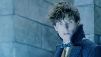 Les Animaux fantastiques : Les crimes de Grindelwald Bande-annonce VO