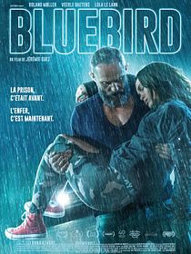 Bluebird