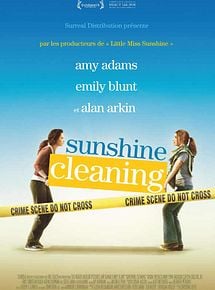 Sunshine Cleaning