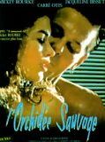 L'Orchidée sauvage en streaming