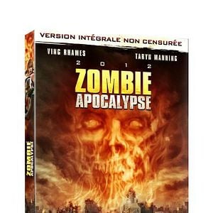Zombie Apocalypse : Affiche