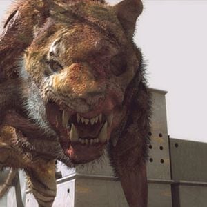Zombie Apocalypse : Photo