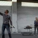 Sharknado : Photo