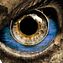 regard00