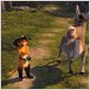 Shrek 2 : photo