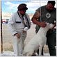 Bombon el perro : photo Carlos Sorín, Juan Villegas, Walter Donado