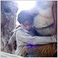 Max et les maximonstres : photo Max Records, Spike Jonze