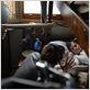 Max et les maximonstres : photo Max Records, Spike Jonze