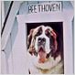 Beethoven : photo