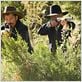 Appaloosa : photo Ed Harris, Viggo Mortensen