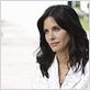 Cougar Town : photo Courteney Cox