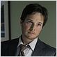 NCIS : Enquêtes spéciales : photo Scott Wolf