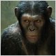 La Planète des singes : les origines : photo Rupert Wyatt