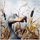 Le Vilain petit canard : photo