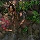 Voyage au centre de la Terre 2 : L'île mystérieuse : photo Brad Peyton, Josh Hutcherson, Luis Guzman, Vanessa Hudgens