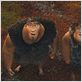 Les Croods : photo