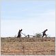 Les Piliers de la Terre : Un monde sans fin : photo Nora Von Waldstätten, Tom Cullen (III)