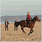 Turf : photo Alain Chabat, Lucien Jean-Baptiste, Philippe Duquesne, Vahina Giocante