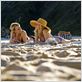 Perfect Mothers : Photo Naomi Watts, Robin Wright (V)