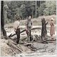 As I Lay Dying : Photo Ahna O'Reilly, James Franco, Jim Parrack, Logan Marshall-Green, Tim Blake Nelson