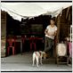 Only God Forgives : Photo Ryan Gosling