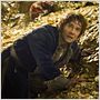 Le Hobbit : la Désolation de Smaug